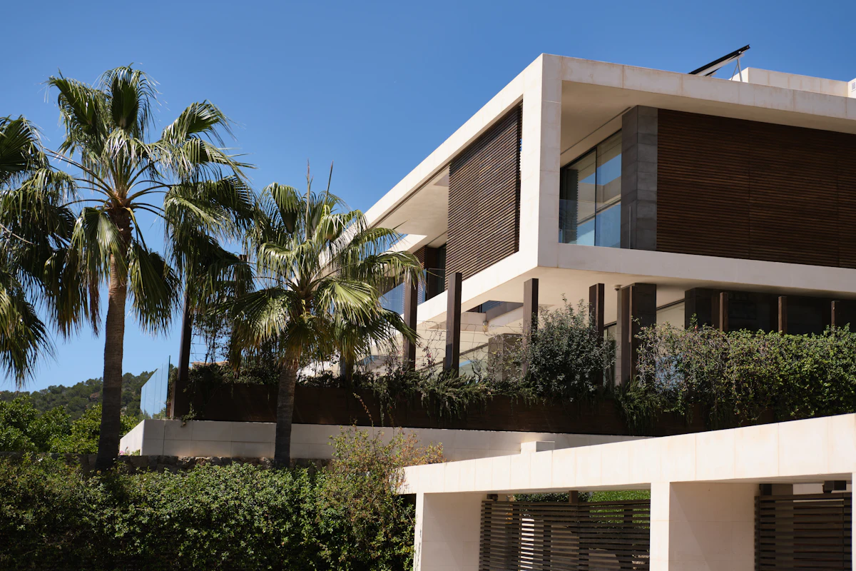 Modern house among palm trees
